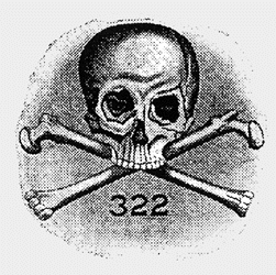 SkullBones322 [gif]